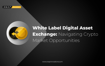 White Label Digital Asset Exchange Exploring Opportunities in the Crypto Market-01