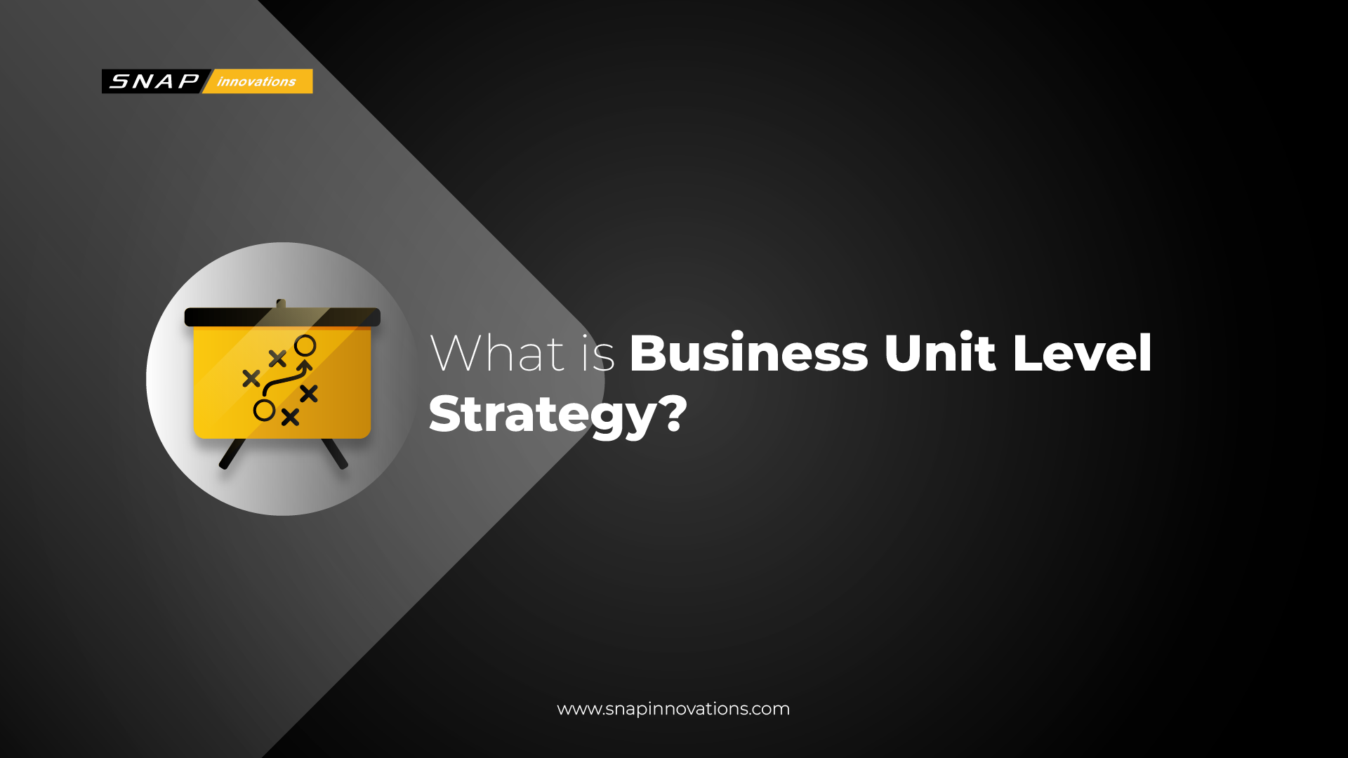 Business Unit Level Strategy in the Modern Business Landscape Snap Innovations