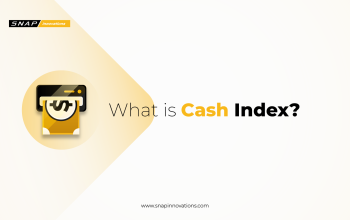 Cash Index What It Is, How It Works, and Why It's Important-01
