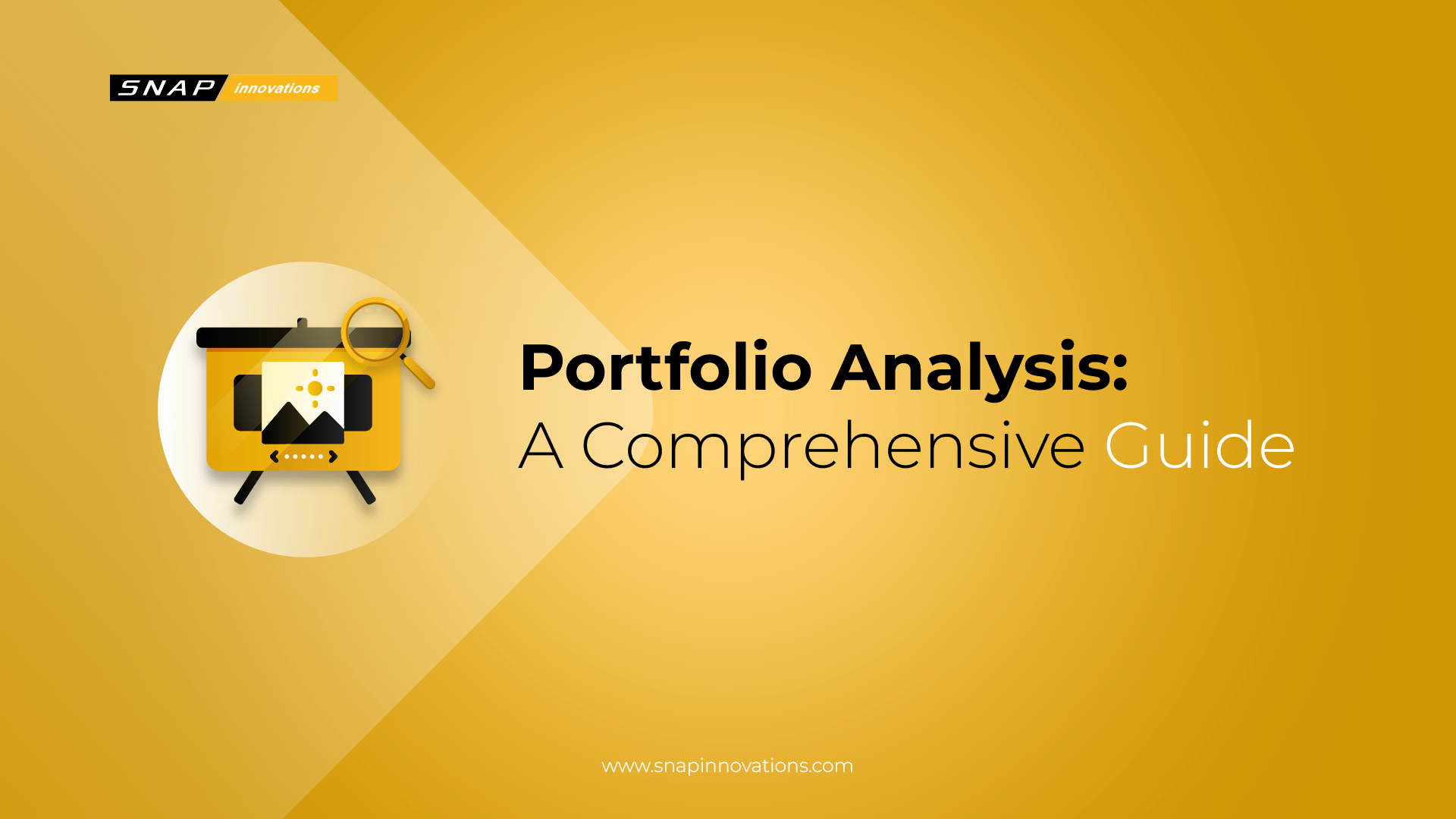 Portfolio Analysis Evaluate and Manage Your Investments Snap Innovations