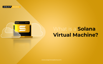 Solana Virtual Machine A Comprehensive Guide-01