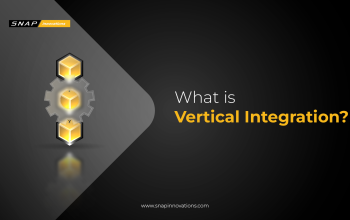 Vertical Integration in Today's Business Landscape-01