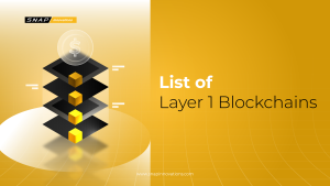 Top 17 List of Layer 1 Blockchains You Should Know in 2025 - Snap ...