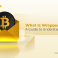 What Is Wrapped Bitcoin A Guide to Understanding wBTC-01