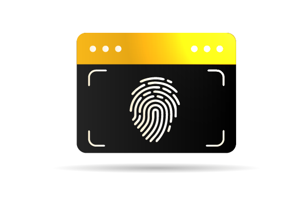 What Is a Digital Identity Network